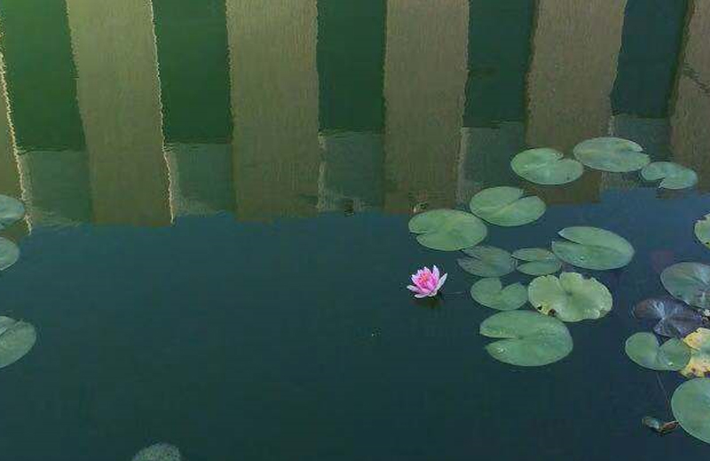 廠區(qū)環(huán)境